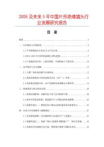 2026及未來5年中國片形絕緣端頭行業(yè)發(fā)展研究報告