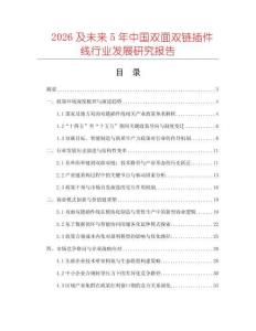 2026及未來(lái)5年中國(guó)雙面雙鏈插件線行業(yè)發(fā)展研究報(bào)告