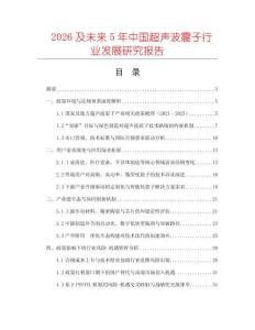 2026及未來5年中國超聲波震子行業發展研究報告