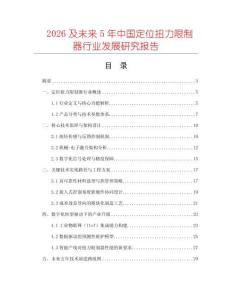 2026及未來5年中國定位扭力限制器行業發展研究報告