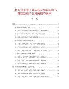 2026及未來5年中國火炬自動(dòng)點(diǎn)火管理系統(tǒng)行業(yè)發(fā)展研究報(bào)告