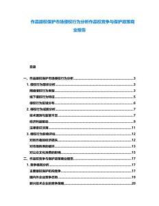 作品版權(quán)保護市場侵權(quán)行為分析作品權(quán)競爭與保護政策商業(yè)報告