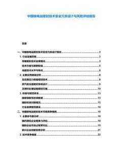 中國核電站密封技術安全冗余設計與風險評估報告