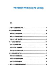 中國(guó)養(yǎng)老服務(wù)體系構(gòu)建與社會(huì)資本參與模式報(bào)告
