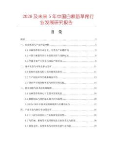 2026及未來5年中國白麻筋草席行業發展研究報告