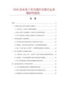 2026及未來5年中國桿式泵行業(yè)發(fā)展研究報(bào)告