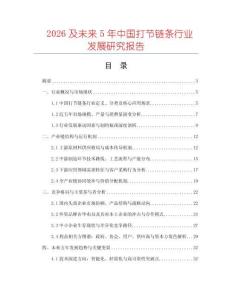 2026及未來(lái)5年中國(guó)打節(jié)鏈條行業(yè)發(fā)展研究報(bào)告