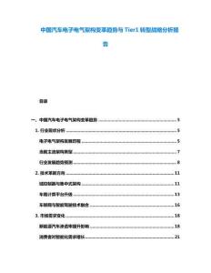 中國汽車電子電氣架構(gòu)變革趨勢與Tier1轉(zhuǎn)型戰(zhàn)略分析報告