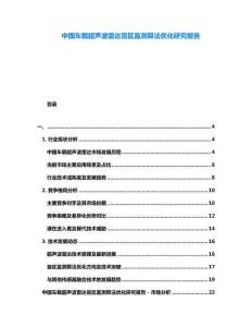 中國(guó)車載超聲波雷達(dá)盲區(qū)監(jiān)測(cè)算法優(yōu)化研究報(bào)告
