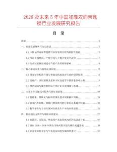 2026及未來5年中國加厚雙面帶匙鎖行業(yè)發(fā)展研究報告