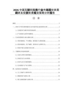 2026中國互聯網服務行業市場現狀供需調研及投資前景規劃策略分析報告