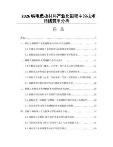 2026鈉電負(fù)極材料產(chǎn)業(yè)化進(jìn)程中的技術(shù)路線競(jìng)爭(zhēng)分析