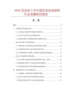 2026及未來5年中國尼龍吉他背帶行業(yè)發(fā)展研究報告