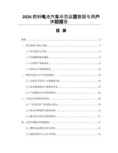 2026燃料電池汽車示范運營數據與用戶體驗報告