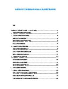 中國知識產(chǎn)權(quán)跨境保護機制與企業(yè)海外維權(quán)案例研究