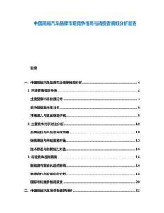 中國高端汽車品牌市場競爭格局與消費者偏好分析報告