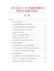 2026及未來5年中國建宏綢鑲花邊吊裙行業發展研究報告