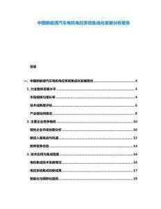 中國新能源汽車電機(jī)電控系統(tǒng)集成化發(fā)展分析報告