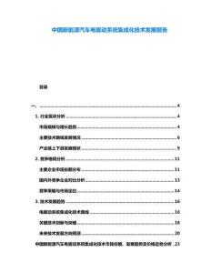 中國新能源汽車電驅動系統集成化技術發展報告