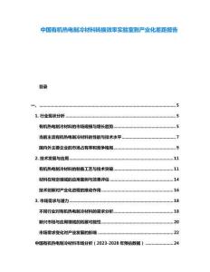 中國(guó)有機(jī)熱電制冷材料轉(zhuǎn)換效率實(shí)驗(yàn)室到產(chǎn)業(yè)化差距報(bào)告