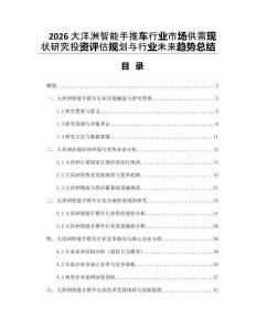 2026大洋洲智能手推車行業(yè)市場供需現(xiàn)狀研究投資評(píng)估規(guī)劃與行業(yè)未來趨勢總結(jié)