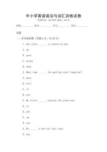 中小學英語語法與詞匯訓練試卷