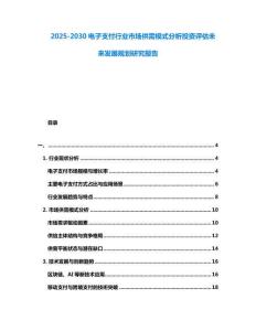 2025-2030電子支付行業(yè)市場供需模式分析投資評估未來發(fā)展規(guī)劃研究報告