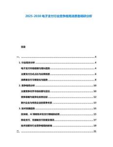 2025-2030電子支付行業(yè)競爭格局消費者調(diào)研分析