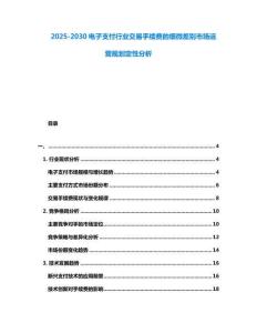 2025-2030電子支付行業交易手續費的細微差別市場運營規劃定性分析