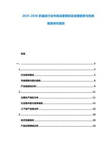 2025-2030多晶硅行業市場深度調研及發展前景與投資前景研究報告