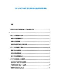 2025-2030電子支付系統(tǒng)技術(shù)現(xiàn)狀與投資評估