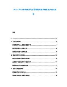 2025-2030東海天然氣水合物鉆采技術研發與產業化規劃