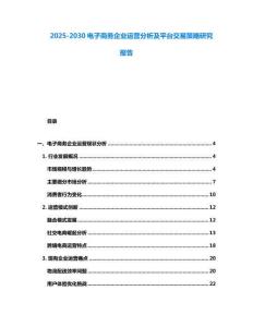 2025-2030電子商務企業運營分析及平臺交易策略研究報告