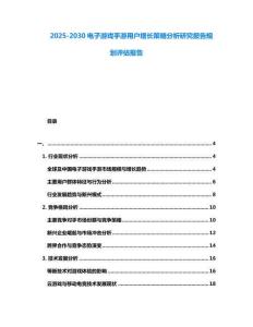 2025-2030電子游戲手游用戶增長策略分析研究報告規劃評估報告