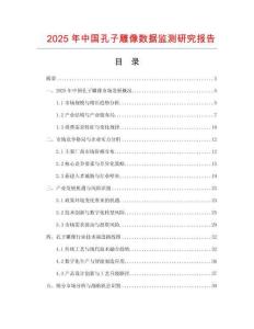 2025年中國孔子雕像數(shù)據(jù)監(jiān)測研究報告