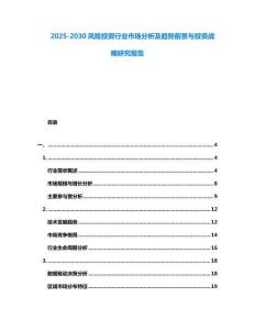 2025-2030風險投資行業市場分析及趨勢前景與投資戰略研究報告