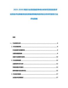 2025-2030風險行業項目融資爭辯分析研究項目投資評估項目評估策略項目投資融資策略風險項目分析研究報告行業評估策略