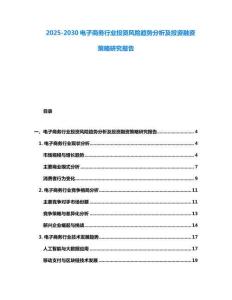 2025-2030電子商務行業投資風險趨勢分析及投資融資策略研究報告