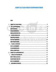 壓縮療法行業技術壁壘與競爭格局研究報告