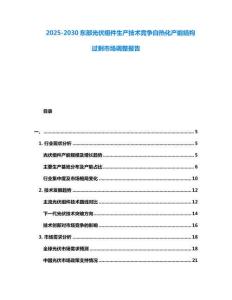 2025-2030東部光伏組件生產技術競爭白熱化產能結構過剩市場調整報告