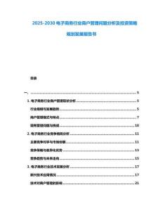 2025-2030电子商务行业商户管理问题分析及投资策略规划发展报告书