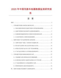 2025年中國(guó)雙路車檢器數(shù)據(jù)監(jiān)測(cè)研究報(bào)告