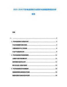 2025-2030汽車電池回收行業(yè)現(xiàn)狀與發(fā)展趨勢(shì)規(guī)劃分析報(bào)告