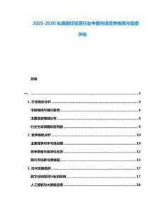 2025-2030私募股權投資行業中國市場競爭格局與投資評估