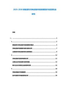 2025-2030新能源車充電設施市場發展現狀與投資機會研究