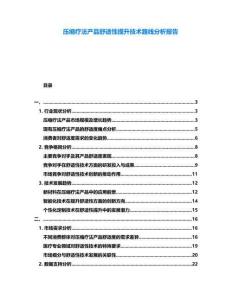 壓縮療法產(chǎn)品舒適性提升技術(shù)路線分析報告