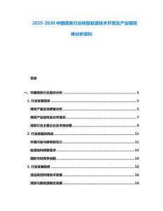 2025-2030中國煤炭行業轉型能源技術開發及產業鏈延伸分析資料
