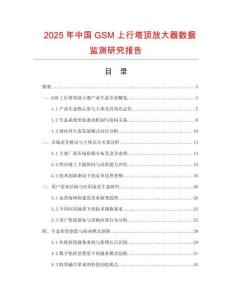2025年中國GSM上行塔頂放大器數據監測研究報告