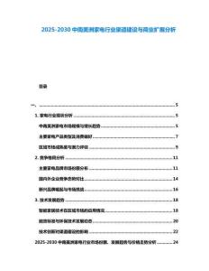 2025-2030中南美洲家電行業渠道建設與商業擴展分析