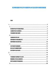 歐洲聯(lián)盟數(shù)字經(jīng)濟(jì)市場競爭分析及投資布局前景展望